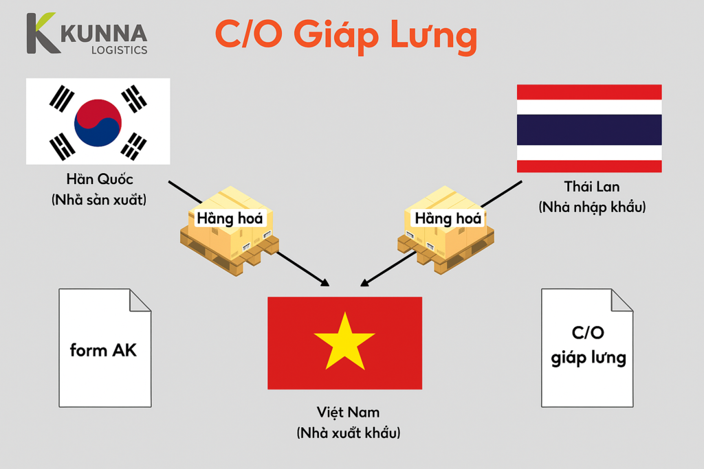 CO giáp lưng Kunna Logistics vietnam